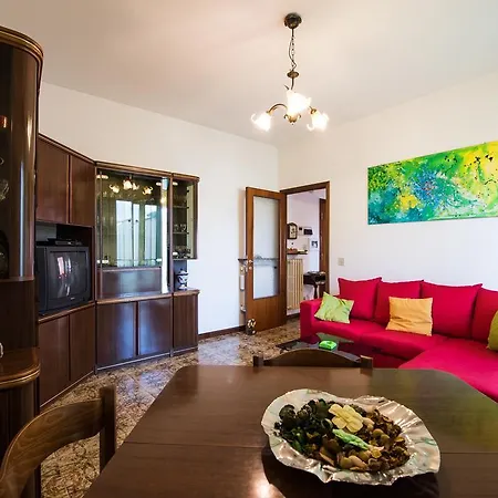B&B Faberius *