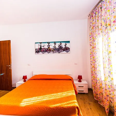 B&B Faberius