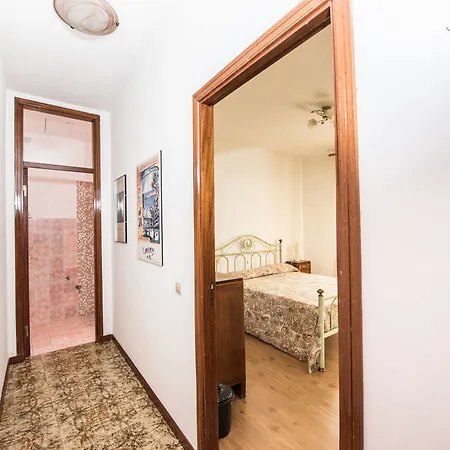 B&B Faberius